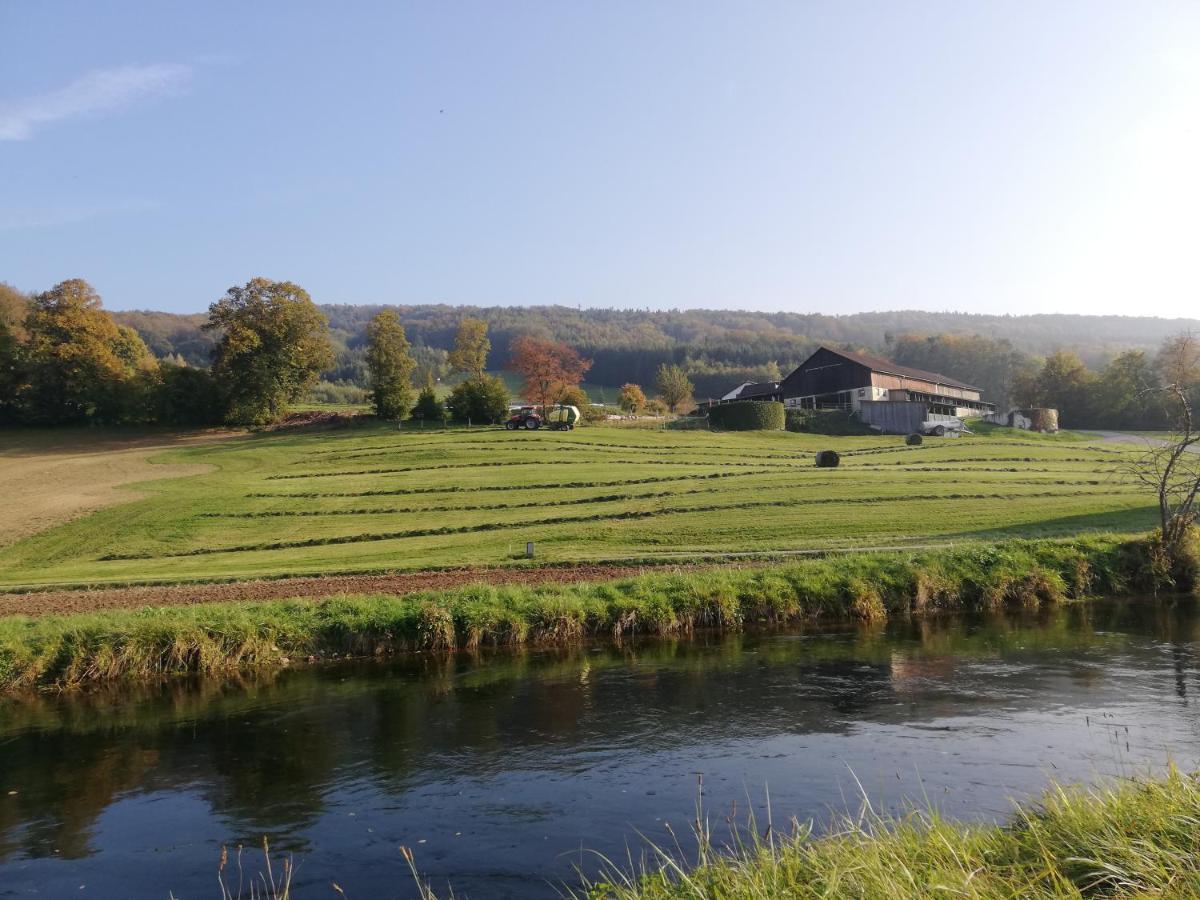 WilhelmsburgGruenbauerhof公寓 外观 照片
