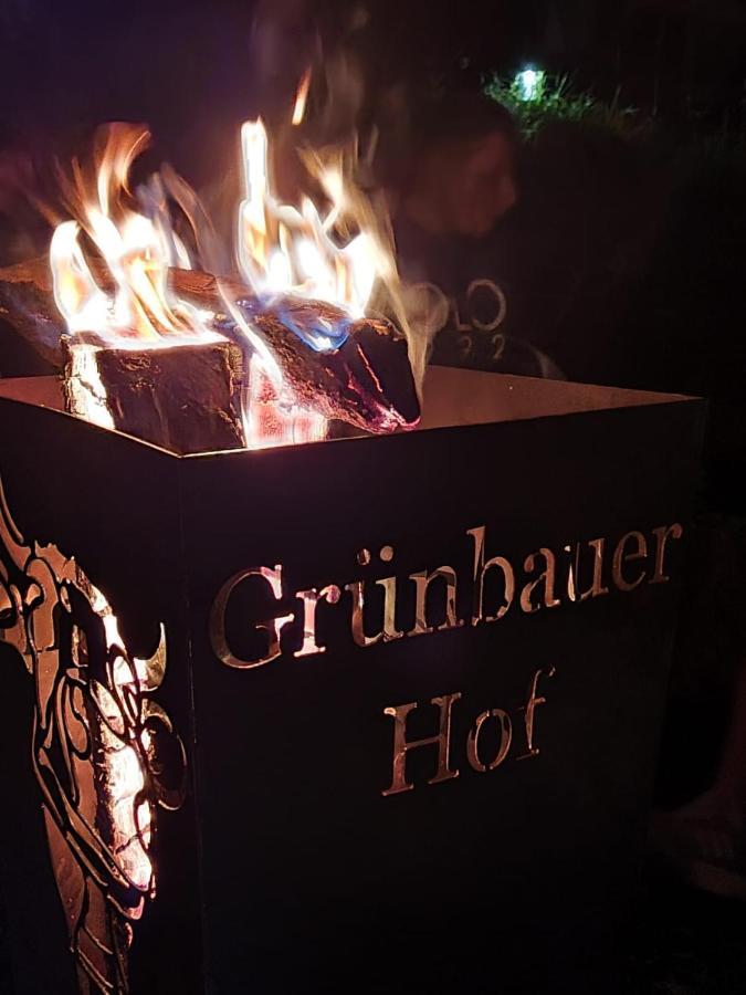 WilhelmsburgGruenbauerhof公寓 外观 照片